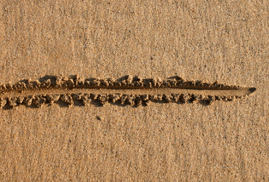 Cinque domande per l’anno nuovo #2. Mi serve un&nbsp;nemico?