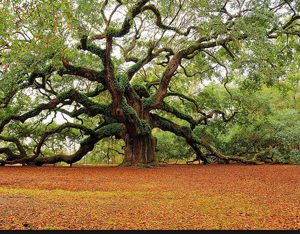 Schermata 2019-04-29 alle 15.27.13