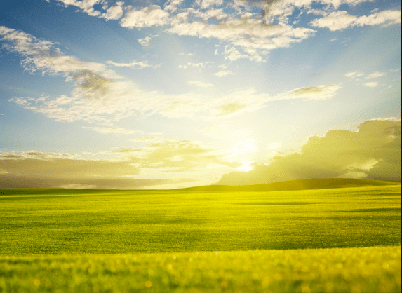 La fortuna di incontrare chi ti aiuta a&nbsp;pensare