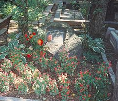 Il maestro e Margherita. Il libro della&nbsp;scoperta