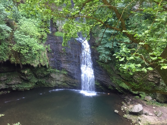 Stancandosi con gli occhi pieni di&nbsp;verde