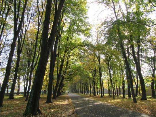 Schermata 2019-06-11 alle 11.47.25