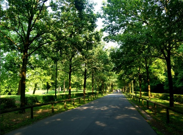 Il profumo dei tigli e dei ricordi. Tra Monza e&nbsp;Pisa