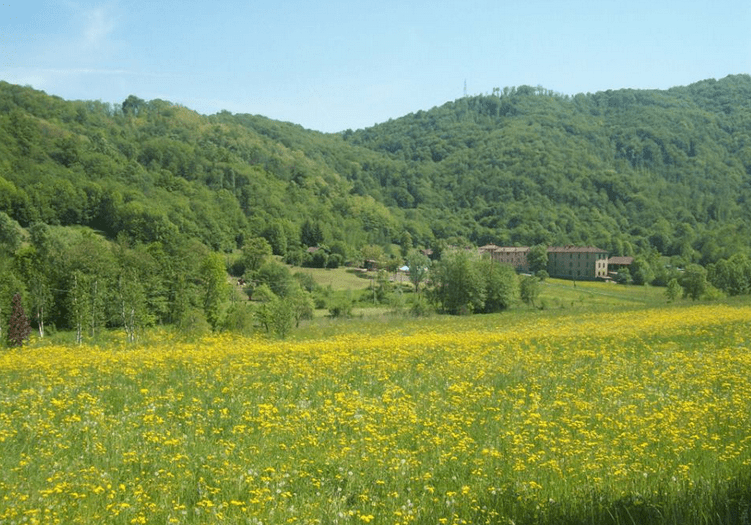 Schermata 2019-07-10 alle 11.36.09