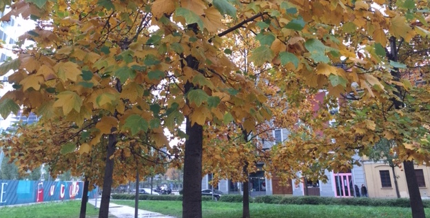 Il lato verde di Bookcity Milano
