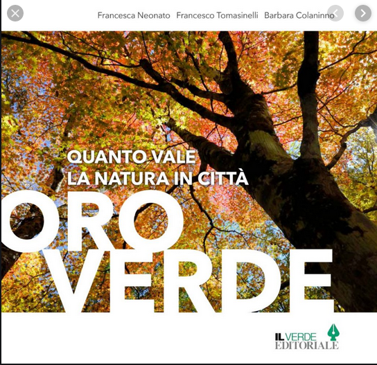 Schermata 2019-11-18 alle 16.35.02