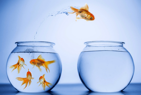 Schermata 2019-11-27 alle 14.52.08