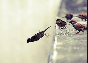 Il coraggio è chic. Anche se vi sembra strano