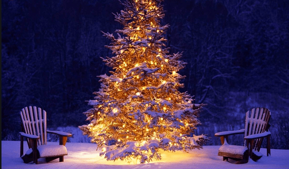 Buon Natale e buon&nbsp;2020