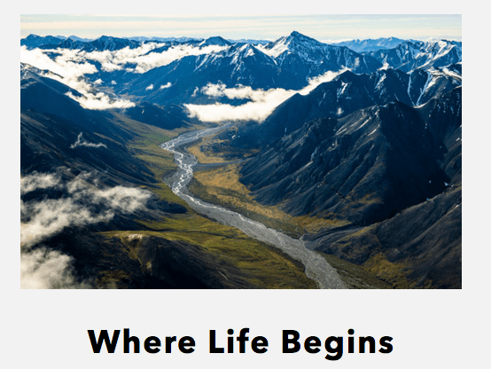 Schermata 2020-01-21 alle 15.26.01