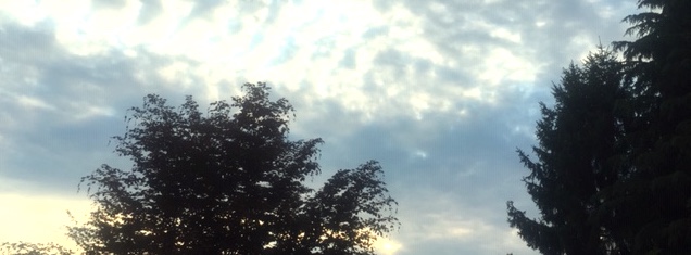 #iorestoacasa giorno 49. Lasciamo le cose dove sono