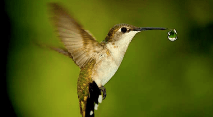 #iorestoacasa giorno 26. Fare la propria&nbsp;parte