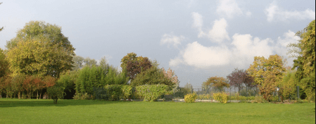 #iorestoacasa giorno 30. Quanto è abbastanza?