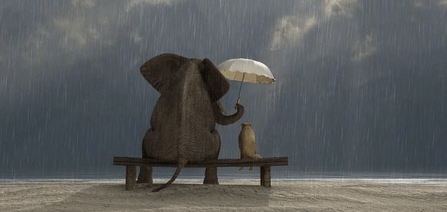 #pandemia fase 2. Per favore, grazie, prego, scusi