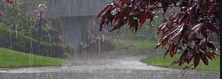 #pandemia fase 2. Varie ed eventuali