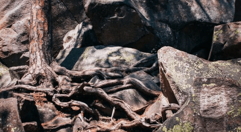 #pandemia zona rossa. Esco a fare due&nbsp;passi