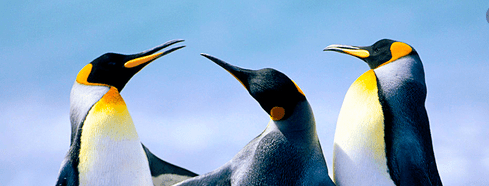 #pandemia zona arancione. Il piacere della&nbsp;conversazione