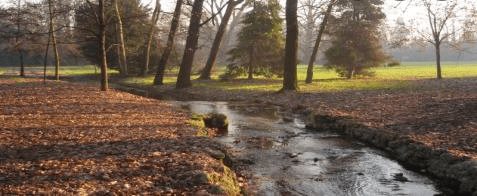 Cose belle, tante. Anche in tempo di&nbsp;pandemia