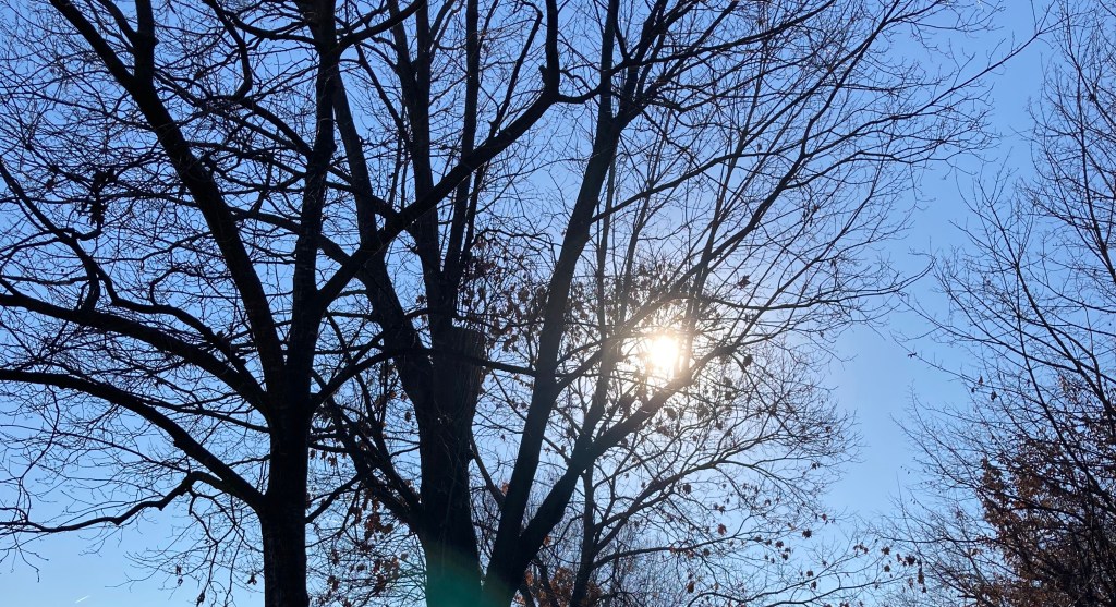 Cose che leggo: Jonathan Franzen,&nbsp;Crossroads