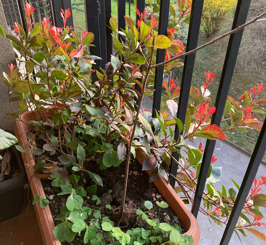 Primavera non bussa, lei entra&nbsp;sicura