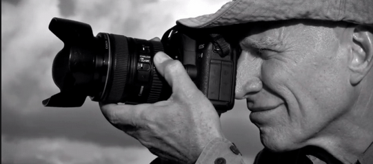 Le piante, Salgado, immaginare il meglio. Divagazioni di lunedì