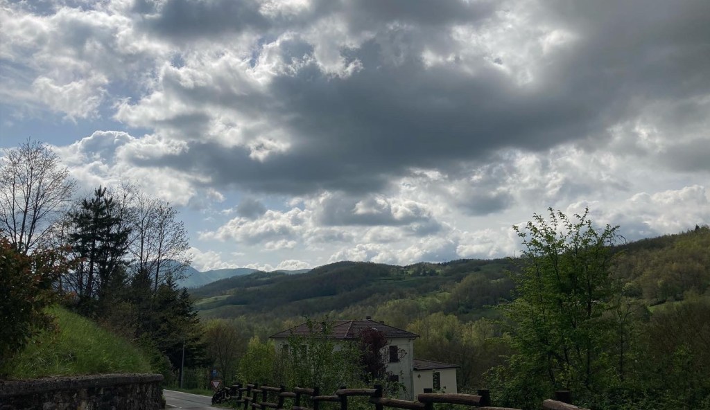 Di boschi, sbrindolamenti, tennis e burraco