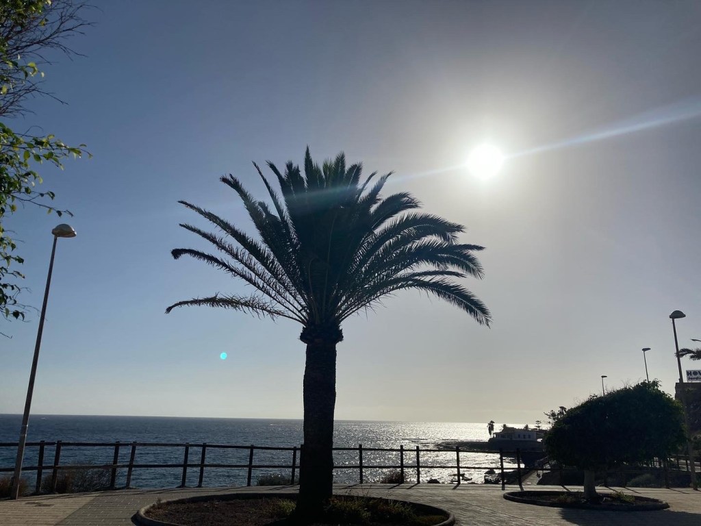 Ma almeno delle foto delle vacanze ce le puoi far&nbsp;vedere