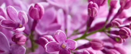 Signore invisibili #6: grazia, semplicità e cura non diminuiscono con il crescere&nbsp;dell’età