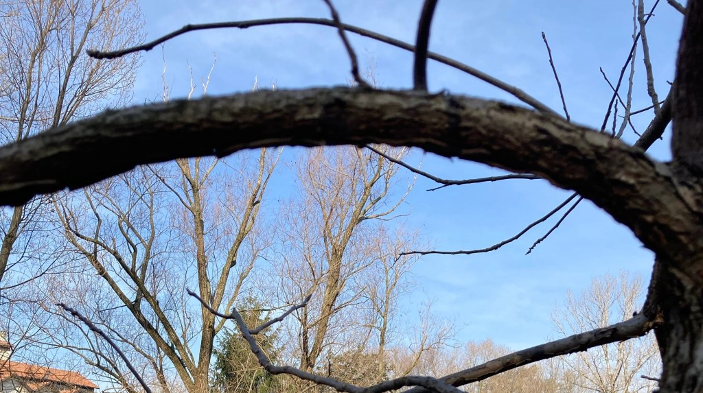 Libertà, varietà, normalità. Quello che vogliamo, prima e dopo l’8 marzo