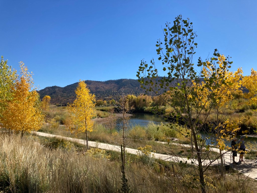 Cronache di un’America minore&nbsp;#2