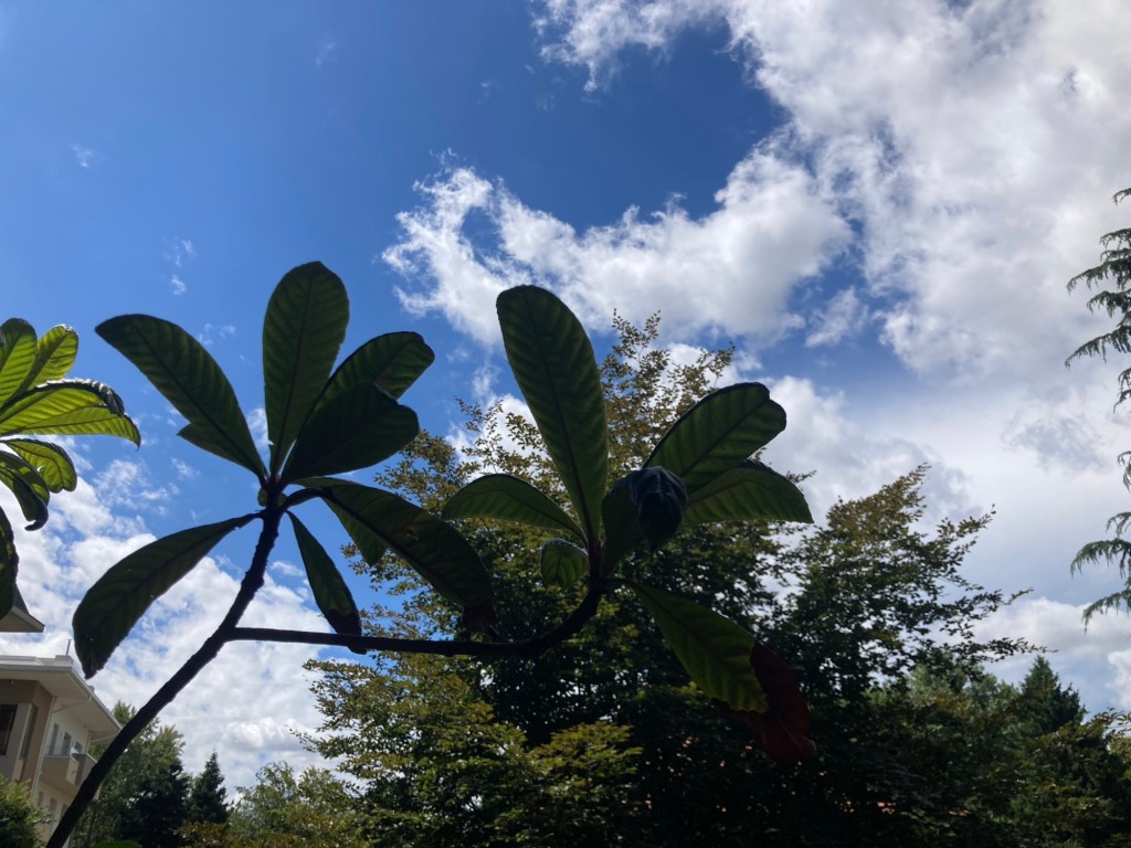 Estate, intelligenza artificiale, tempo. A&nbsp;Monza