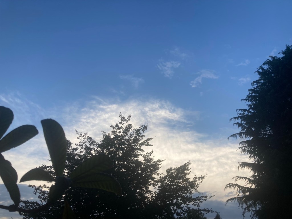 Come è bello il&nbsp;cielo