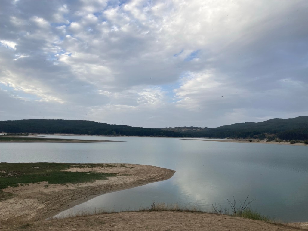 Chiedimi dov’è la bellezza. Sulla Sila per&nbsp;esempio