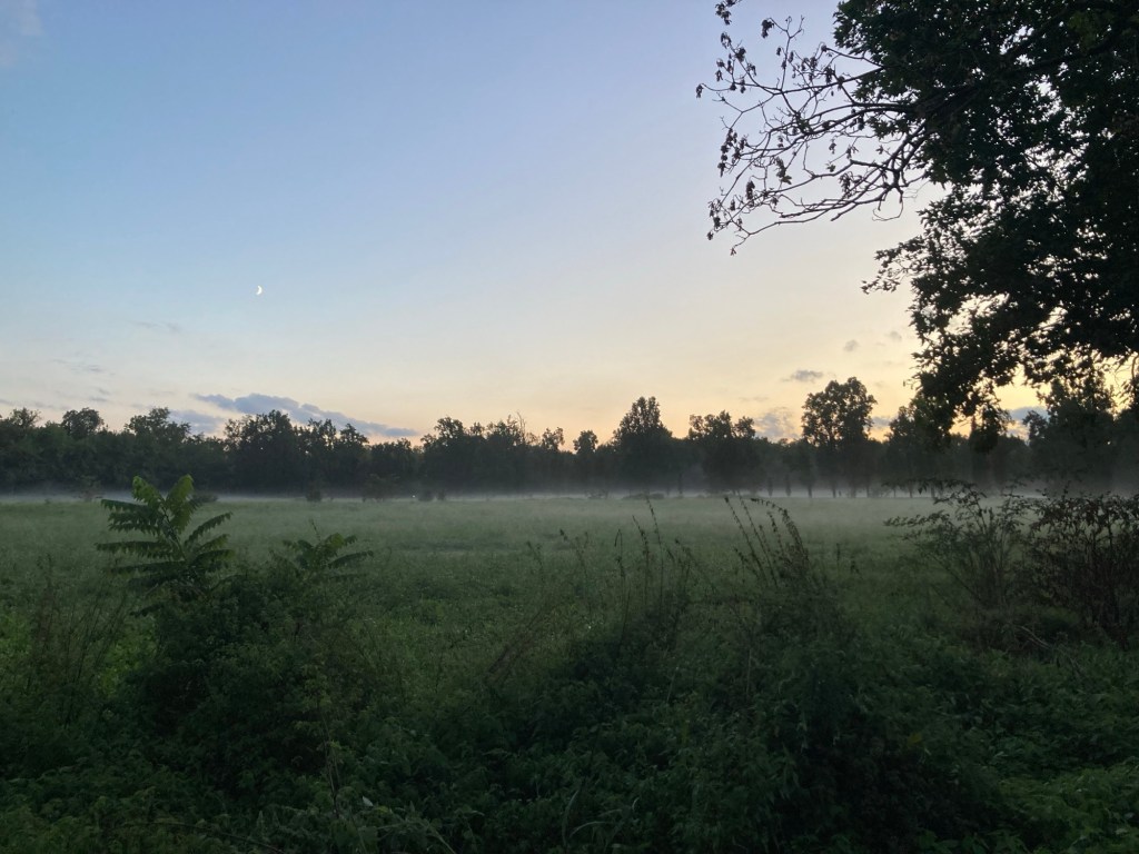 Anche il brutto tempo ha la sua&nbsp;bellezza