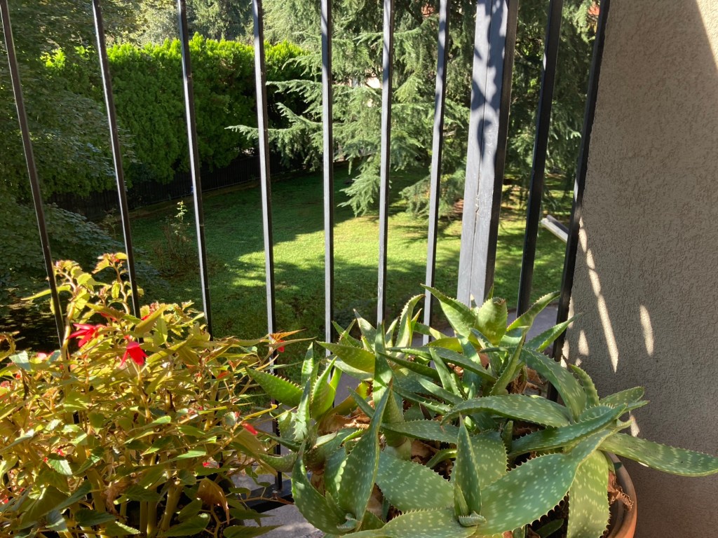 D’autunno in terrazzo