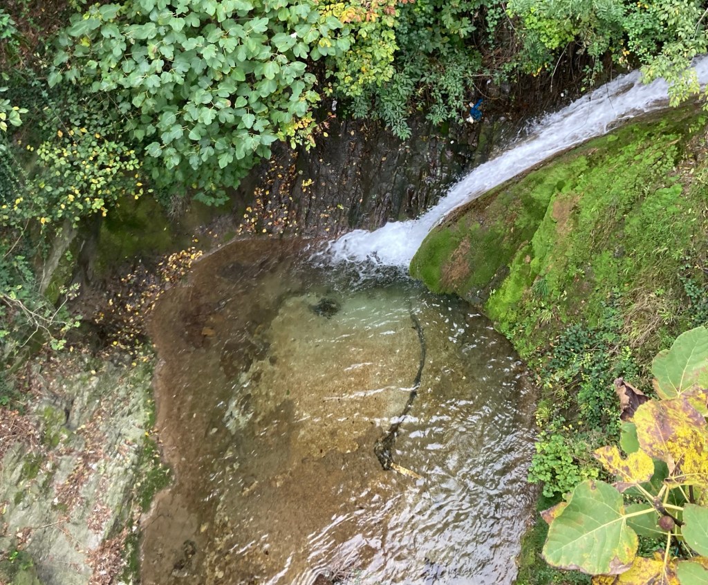 Beauty is everywhere. A Civate per&nbsp;esempio