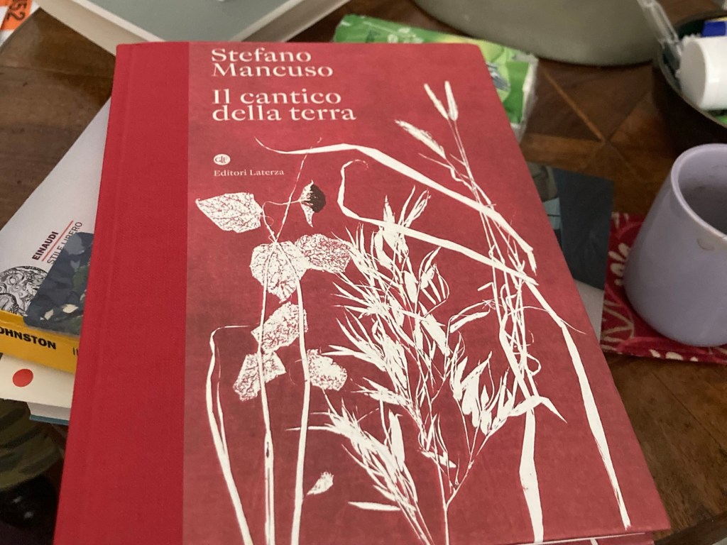 Viva i libri e abbasso il black&nbsp;friday