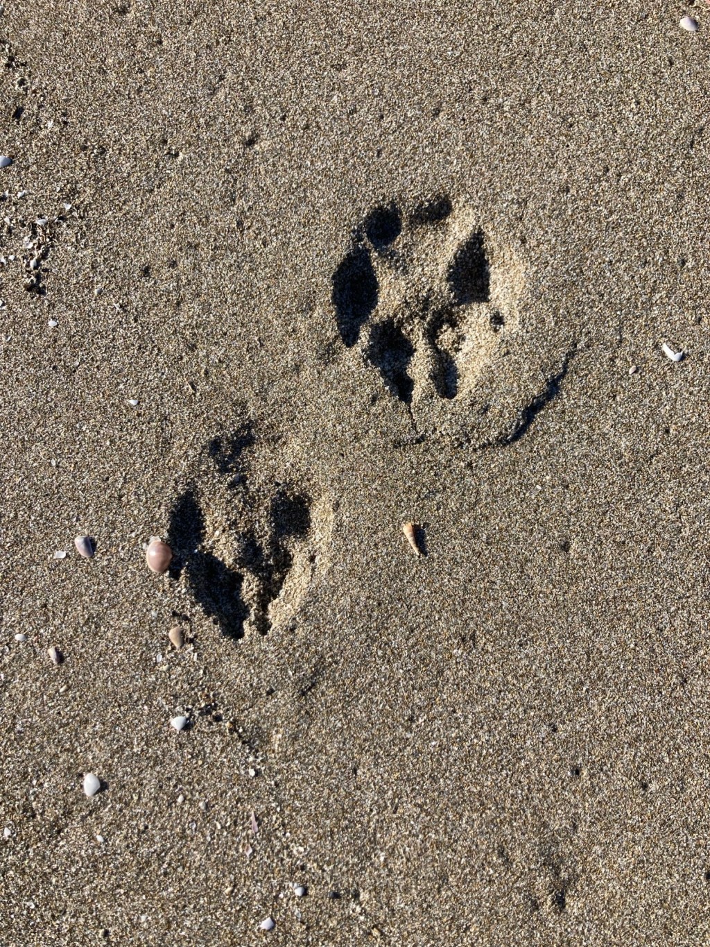 Quante persone e cose si dovrebbero ringraziare alla fine di un&nbsp;anno?