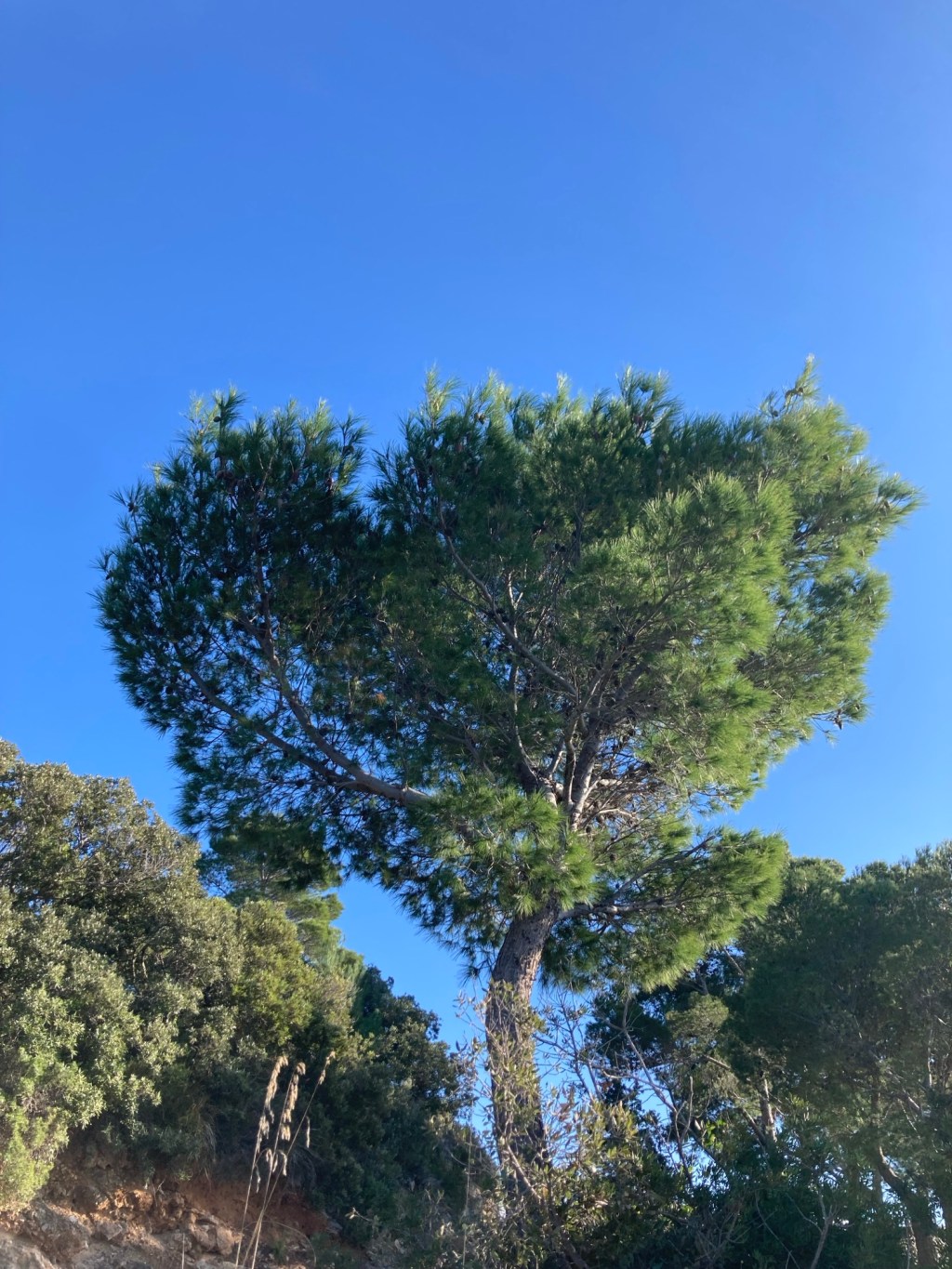 La foto non c’entra&nbsp;niente