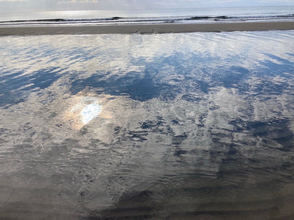 Riprendere o ripartire