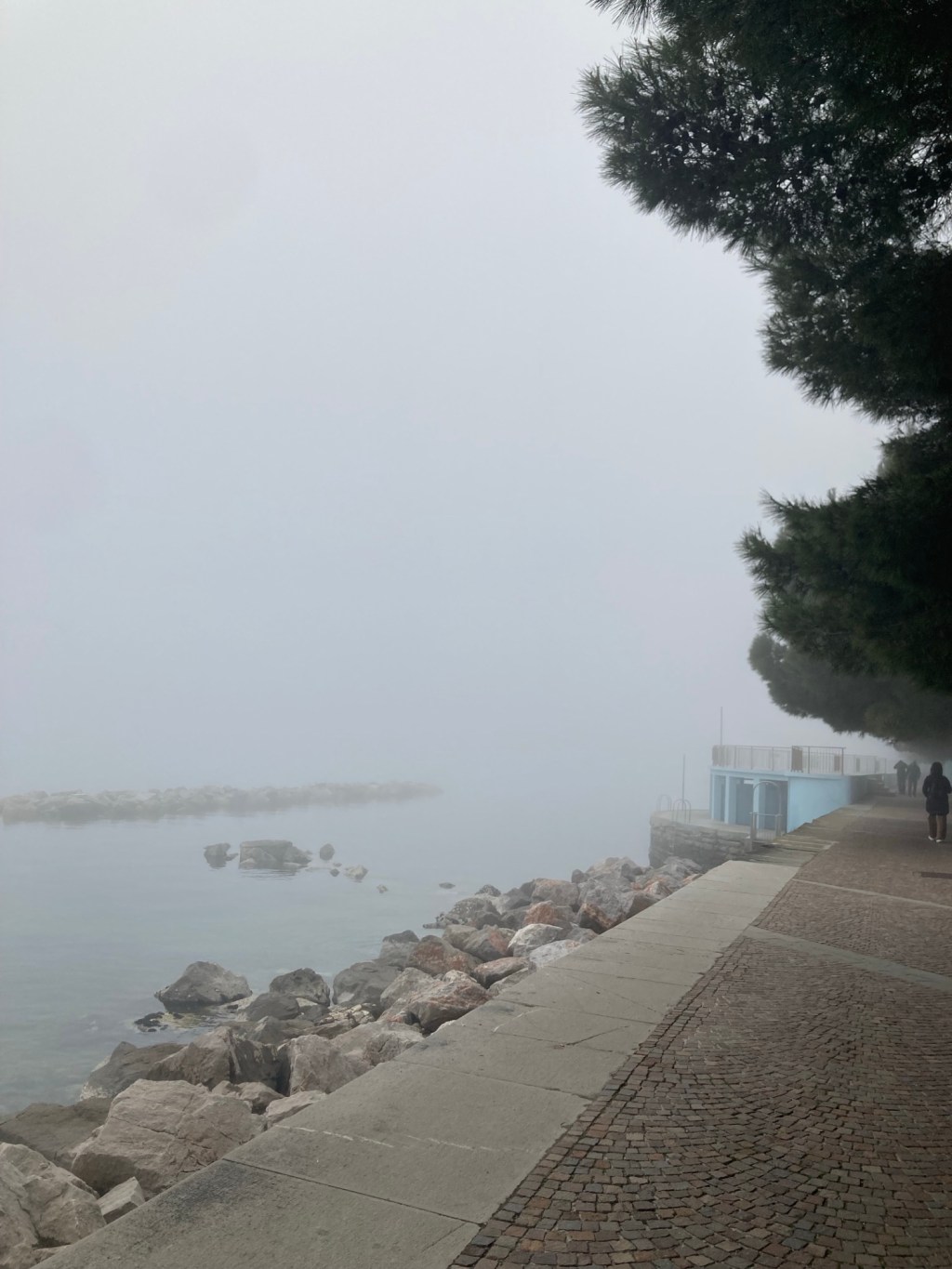 Il mare bagna Trieste