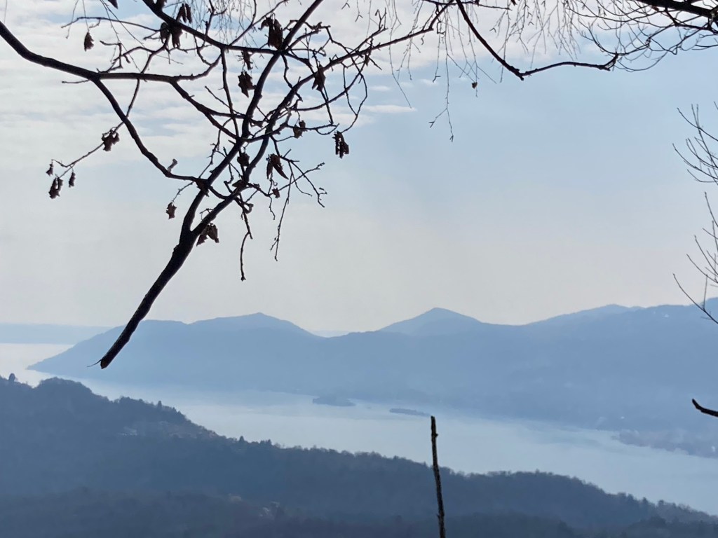 Del vento, di dopo referendum, e del lasciar&nbsp;andare