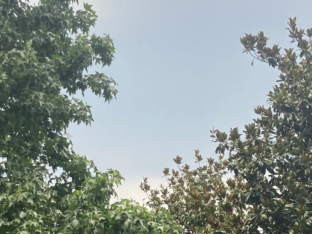 Aspettando il temporale