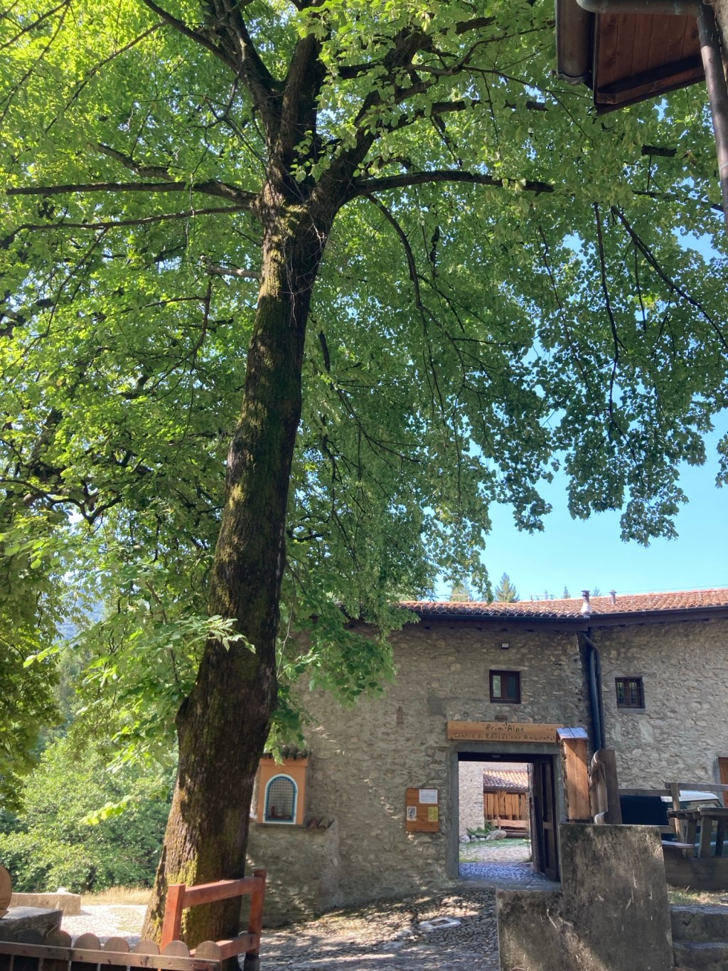 Le domeniche