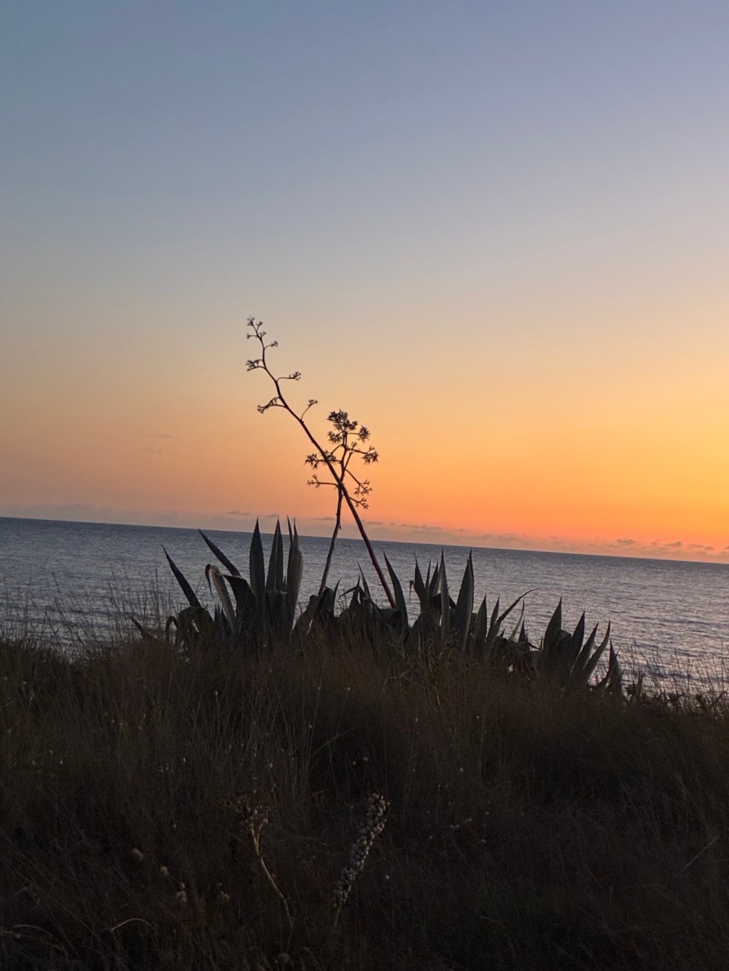 Un sagace riformatore