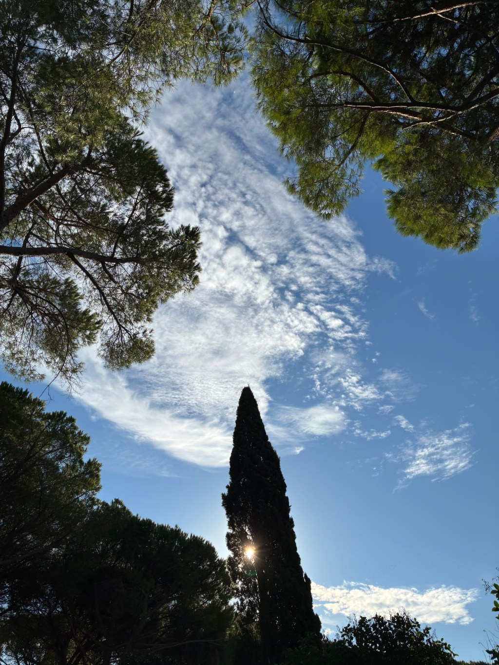 Cieli diversi